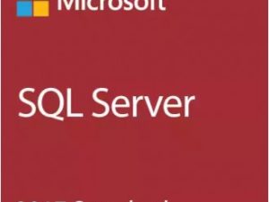 LICENCIA MICROSOFT SQL SERVER 2017 STANDARD EDITION