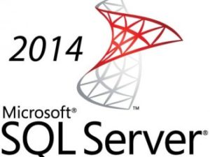 LICENCIA MICROSOFT SQL SERVER 2014 STANDARD